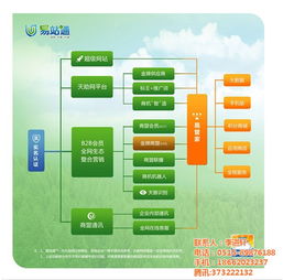 網(wǎng)絡(luò)推廣軟件與信息技術(shù)咨詢服務助力建湖企業(yè)發(fā)展